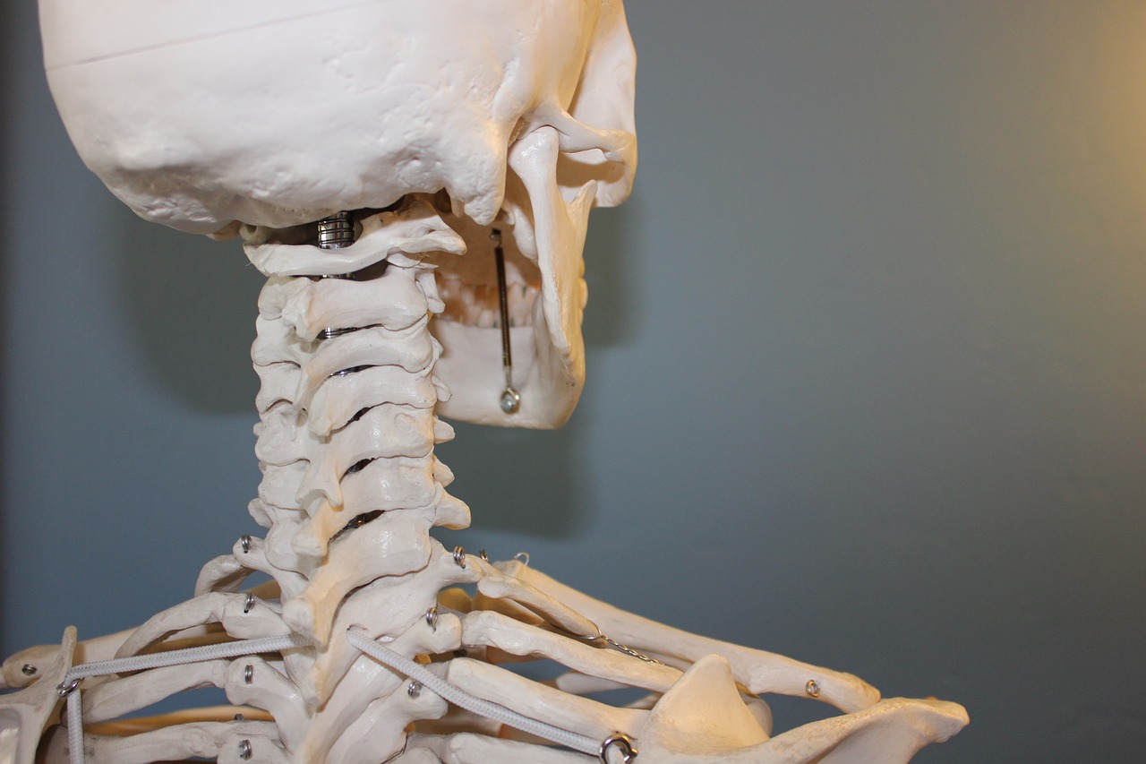 Osteoporoz ve Osteopeni: Erken Tanı, Tedavi ve İyileşme Süreci