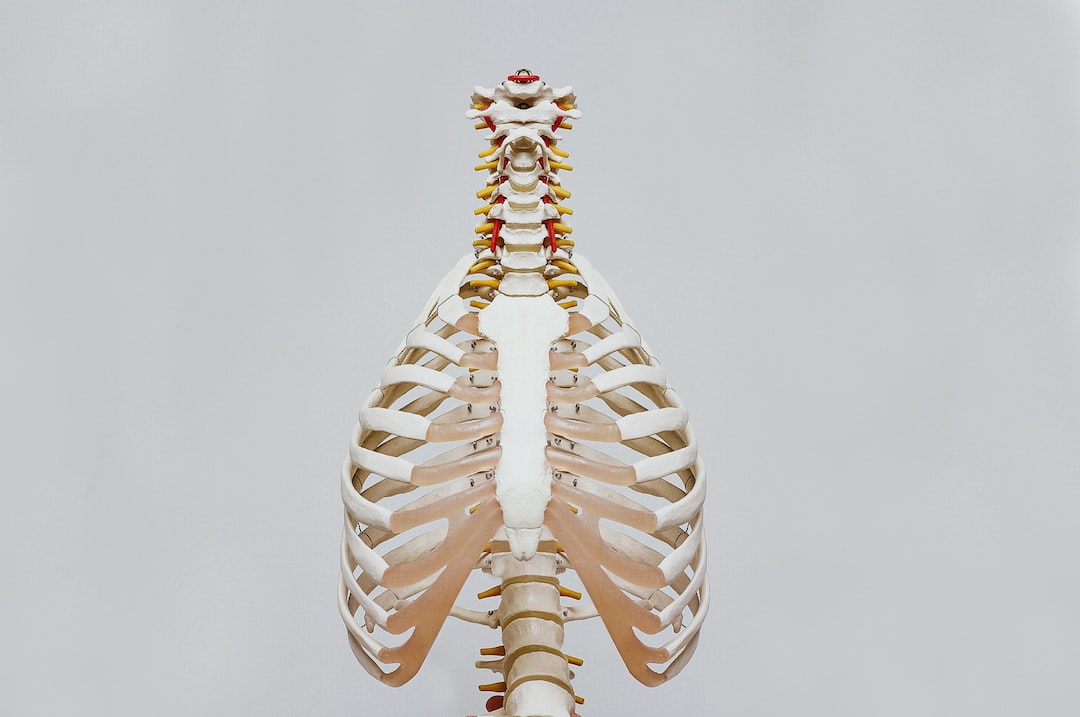 Kolesterol ve Kemik Sağlığı: Osteoporoz ve Kırık Riski